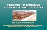 FEEDING TO ENHANCE LIVESTOCK PRODUCTIVITY..Dr hafiz-abdullah