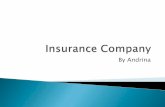 Insurance company - Andrina