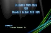 Cluster analysis for market segmentation