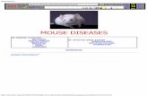 small Mouse diseases