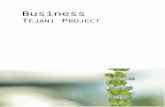Tejani Business Model (Final)