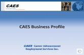 CAES Business Profile 2014
