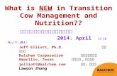 Cow  transition period  p82   2014 china