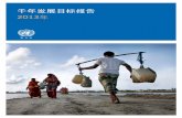 Chinese United Nations Millennium Development Goals Report 2013