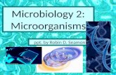 Microbiology:  microorganisms & classification