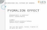 Pigmalion effect