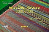 [51] amazing nature