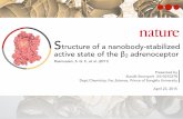 Seminar: Structure of a nanobody-stabilized active state of the β2 adrenoceptor