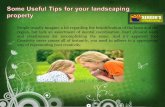 Some useful tips for your landscaping property