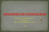 Copacabana   gina berazain - osteologia huesos del craneo