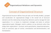 Organisational relations and dynamics