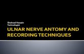 Ulnar nerve antomy and recording techniques