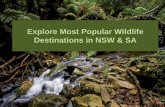 Explore Most Popular Wildlife Destinations in NSW & SA - Country Comfort Terrigal