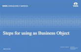 6.steps for using as business object