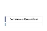 Polysemous and homonymous expressions