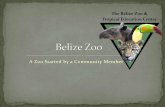 Belize zoo final