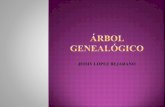 Arbol genealogico etica