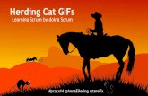 PCA14: Herding Cat GIFs - Learning Scrum by Doing Scrum