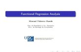 Functional Regression Analysis