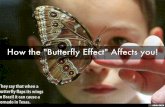 How the "Butterfly Effect" Affects you!