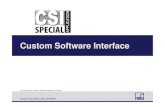 Csi custom software-interface