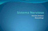 4. sistema nervioso