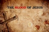 The Blood of Jesus parts 1 - 4 (.pdf)