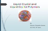 Liquid Crystal and Liquid Crystal Polymer
