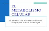 El metabolismo celular