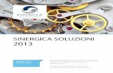Sinergica Soluzioni Srl / Profile / EN