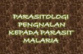 PARASITOLOGI PENGNALAN KEPADA PARASIT MALARIA
