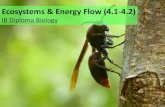 IB Biology 4.1-4.2 Slides: Ecosystems & Energy Flow
