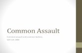 Common assault slides