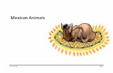 Mexican animals power point