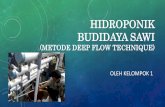 Teknologi hidroponik sawi menggunakan DFT