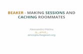PyConIT6 - MAKING SESSIONS AND CACHING ROOMMATES