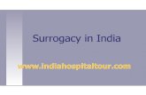 Surrogate Mother India - Surrogate Mother Agency India