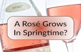 A Rosé Grows in Springtime?