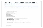 INTERNSHIP REPORT ps