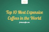 The Top 10 Most Expensive Coffees in the World