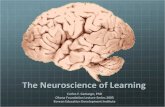 Neuroscience of Learning-CFC2010