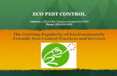 The Growing Popularity of Environmentally Friendly Pest Control Practices and Services