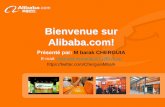 Alibaba le géant du e-commerce chinois