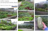 Cliffe Castle Vegetable Beds Completed
