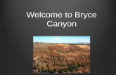 Bryce canyon in utah prisila