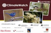 ClimateWatch Create a Trail on Slideshare