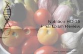 Final exam review slides