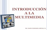 Introducción multimedia