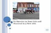 How To Survive And Succeed in A New Job