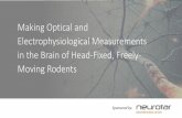 Making Optical and Electrophysiological Measurements in the Brain of Head-Fixed, Freely-Moving Rodents